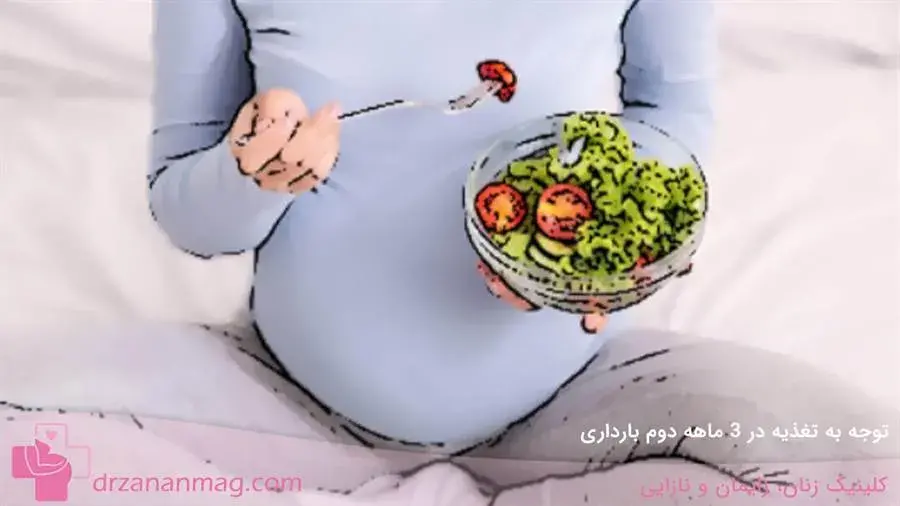 اهمیت تغذیه در ۳ ماهه دوم حاملگی