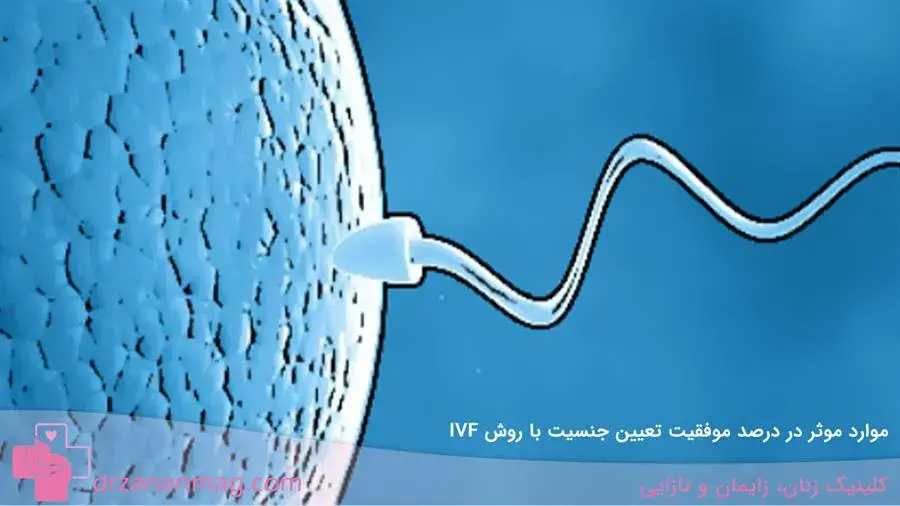  چه فاکتورهایی در افزایش موفقیت آزمایش IVF تاثیر دارند؟