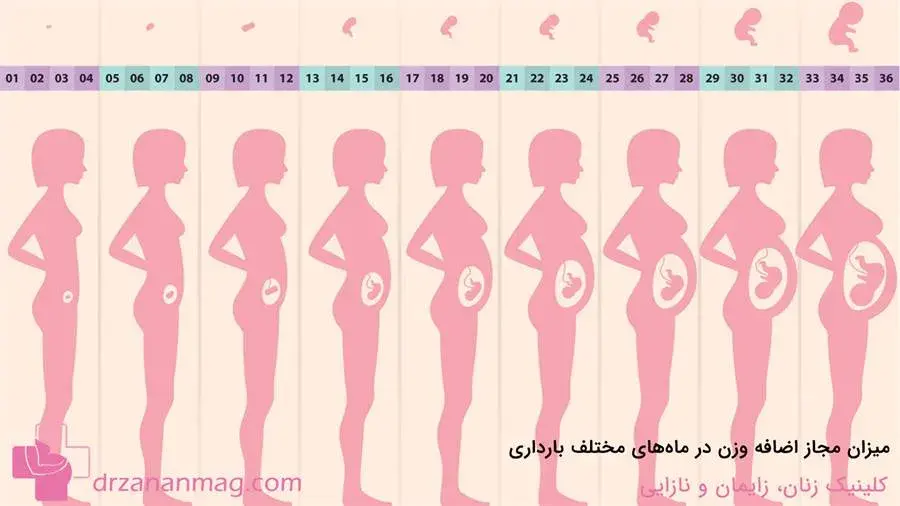 آشنایی با مقدار مجاز اضافه وزن در ماه‌های مختلف حاملگی