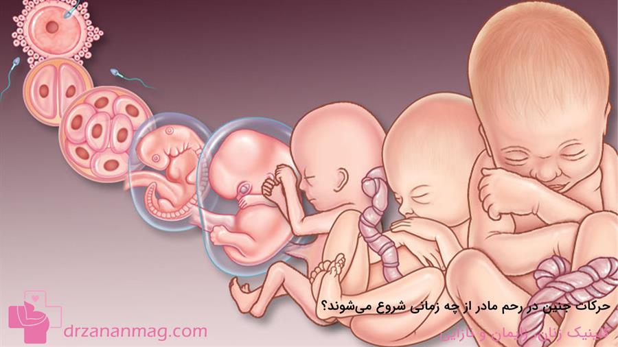 زمان شروع حرکات جنین در رحم مادر
